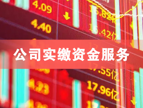 新沂公司实缴资金服务